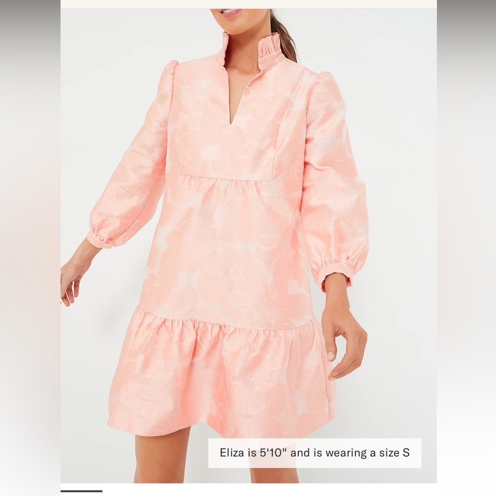 Bellini Fil Coupe Palmerston  dress